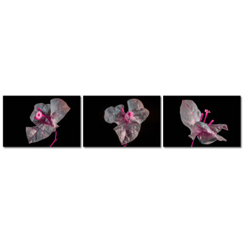 Flowers in the Dark - Poster in Three Pieces