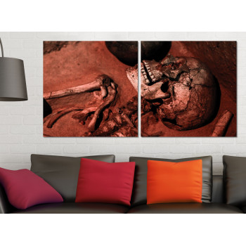 Fractured Skull - Poster in Two Pieces