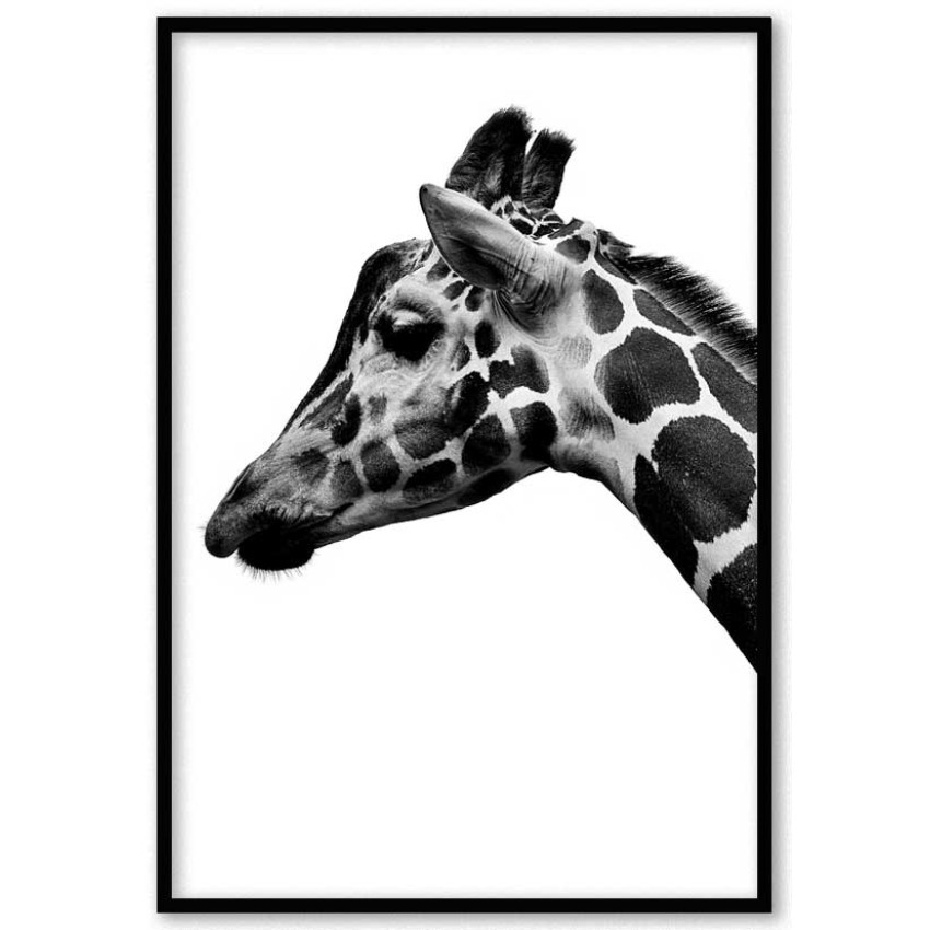 Giraffe portrait A3 poster
