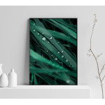 Gröna Blad med Regndroppar - Botanisk  Växtposter