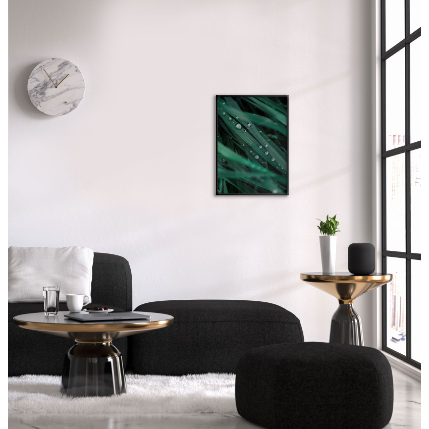 Gröna Blad med Regndroppar - Botanisk  Växtposter