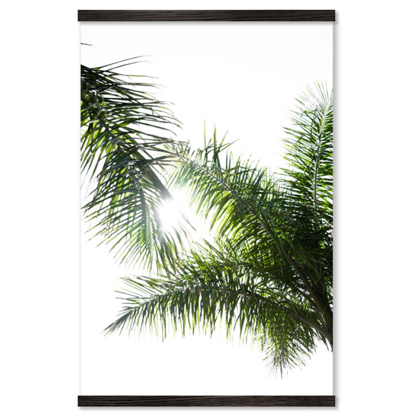 Green Plants with White Background - Big Poster