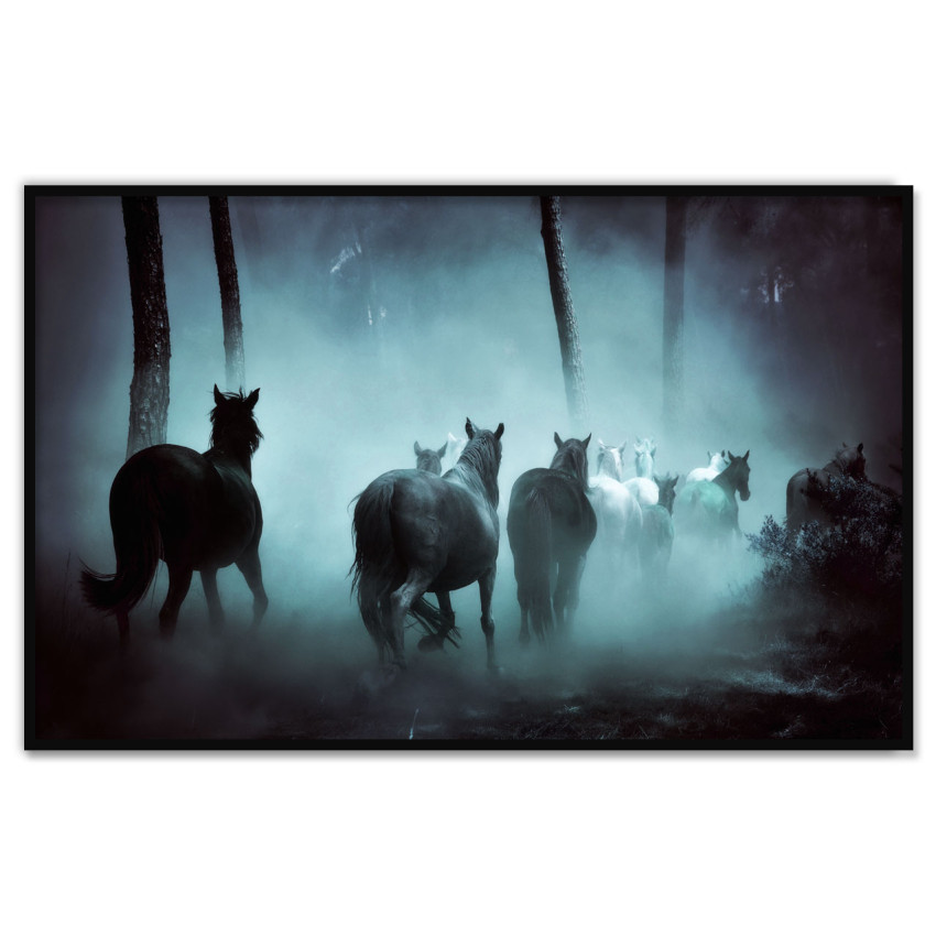 Horses in the Forest - Poster