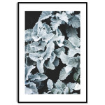 Iced Leaves - Simple Poster