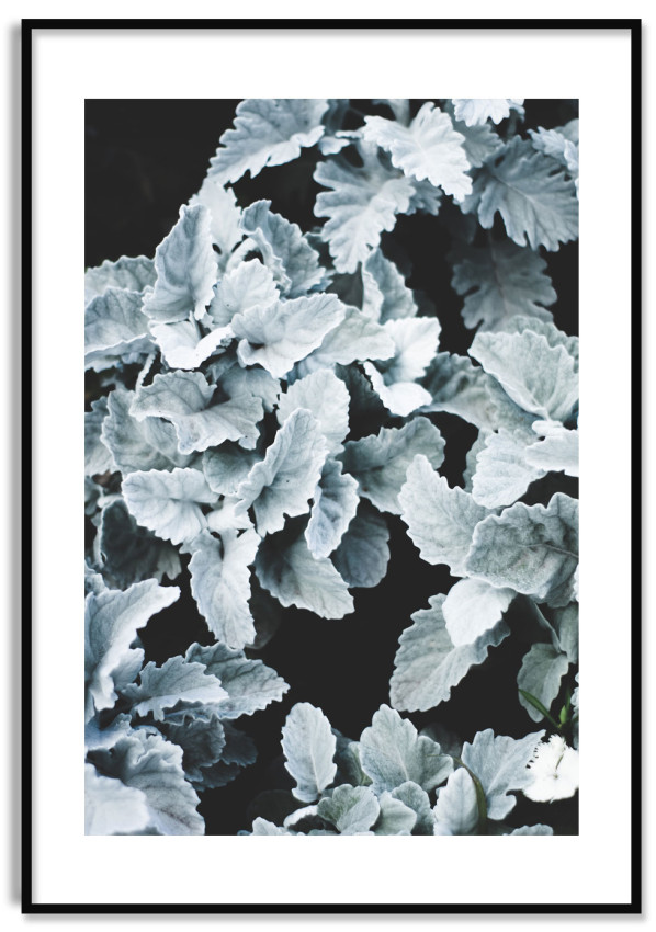 Löv med Frost - Enkel Botanisk Växtposter