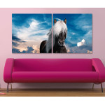 Icelandic Horse - Poster in Two Pieces