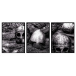 Knight Helmets - Poster in Three Pieces