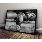 Lion from the Front - Poster