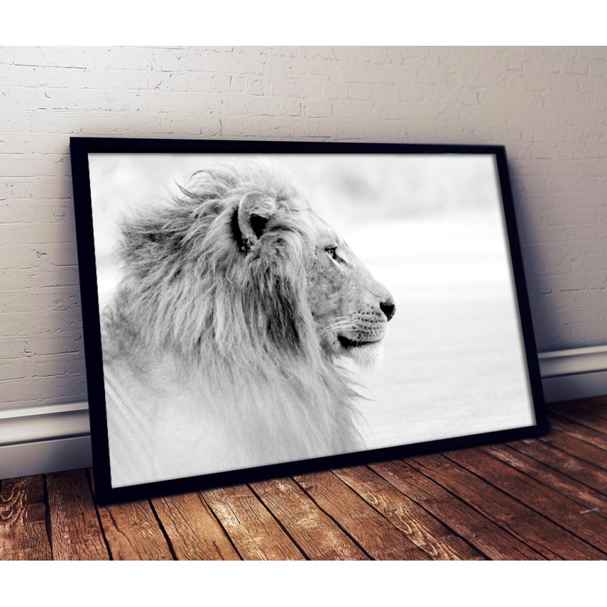 Lion in Profile - Poster