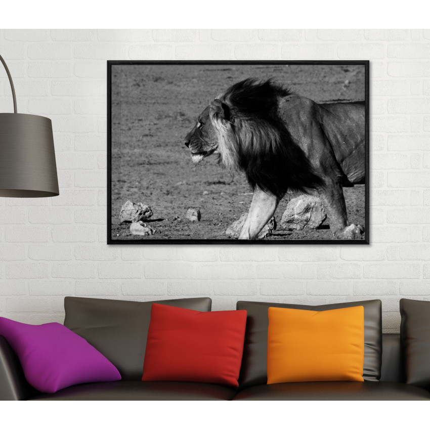 Lion Profile - Black and White Poster