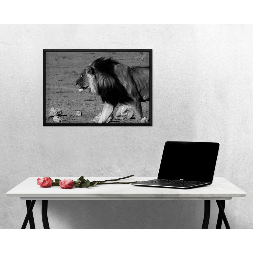 Lion Profile - Black and White Poster