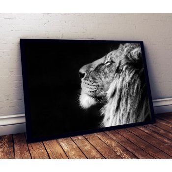 Lejon i Profil - Svartvit Poster