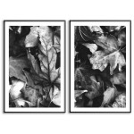 Maple Leaves 61x91cm x 2 posters