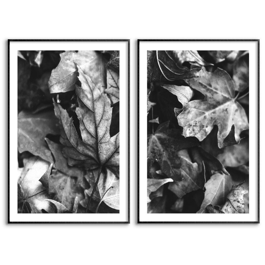 Maple Leaves 61x91cm x 2 posters