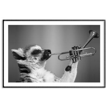 Music poster 50x70 cm raccoon playing the trumpet