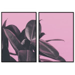 Pink Botanical Plant Poster - Two Piece Set