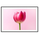 Pink flower - Simple retro poster