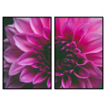 Rosa & vackert blommotiv - Tvådelat tavelset