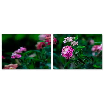 Pink Flowers in the Green Nature - Big Poster in Two Pieces