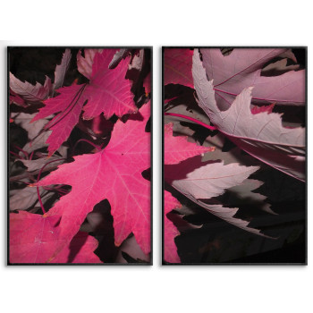Pink leaves - Two piece poster