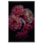 Pink Roses with Black Background - Big Poster