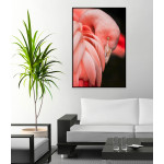 Poster affisch med en rosa flamingo