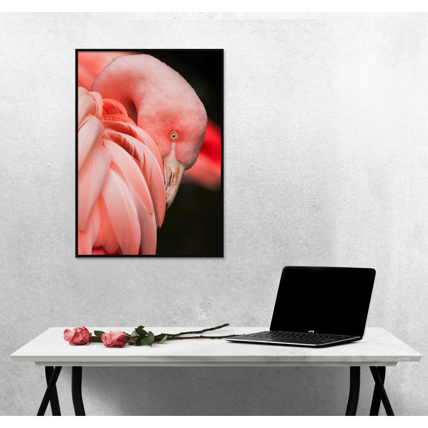 Poster affisch med en rosa flamingo