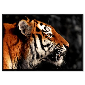 Poster of a Tiger in Profile