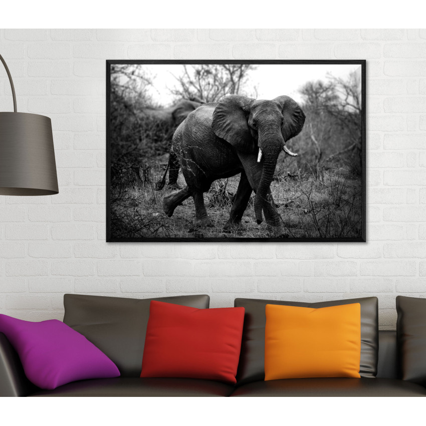 Poster of an African Elephant - Black and White