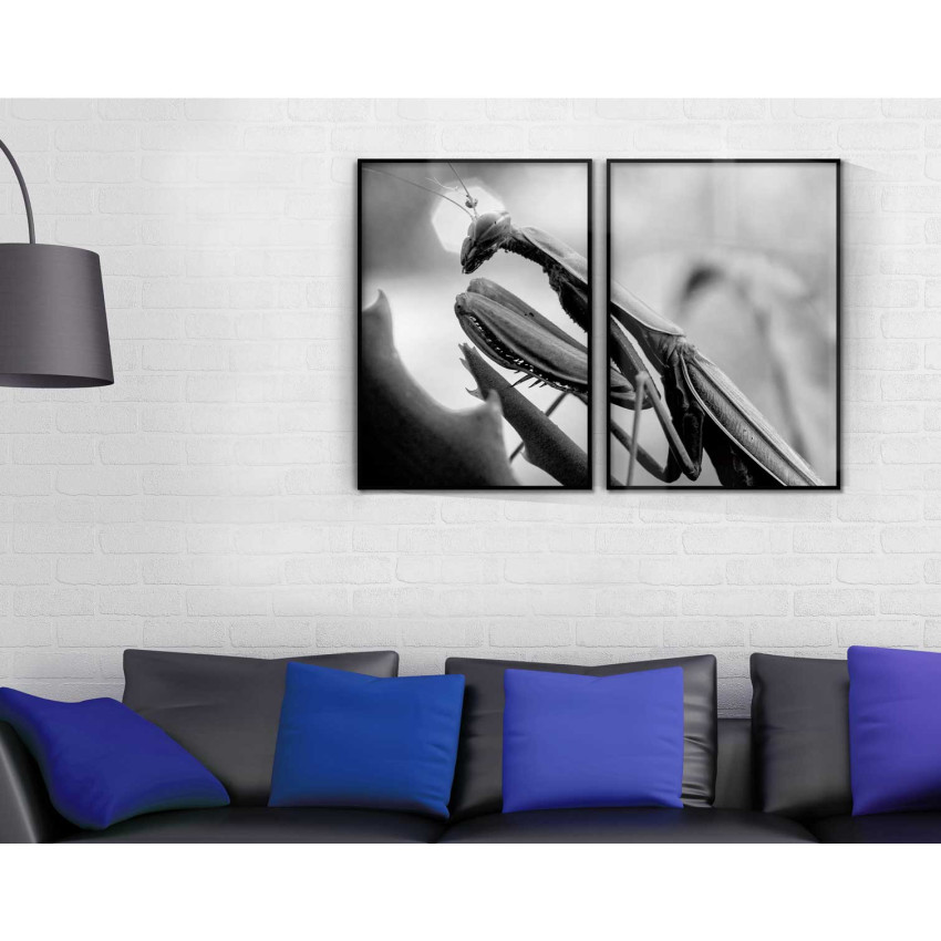 B&ouml;nsyrsa poster 50x70cm x 2