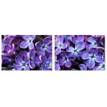 Purple Beautiful Flowers - Big Poster in Two Pieces