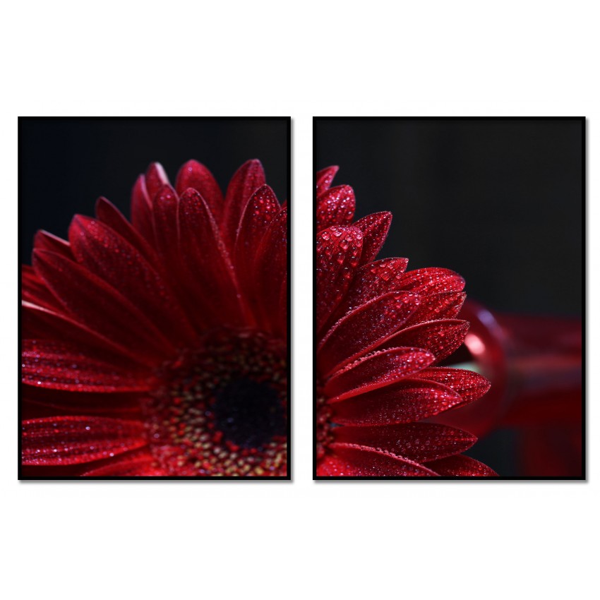 Röd vacker blomma - Snygg tvådelad tavla