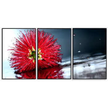 Red Flower - Poster in Three Pieces