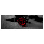 Red Rose Darkness - Poster in Three Pieces