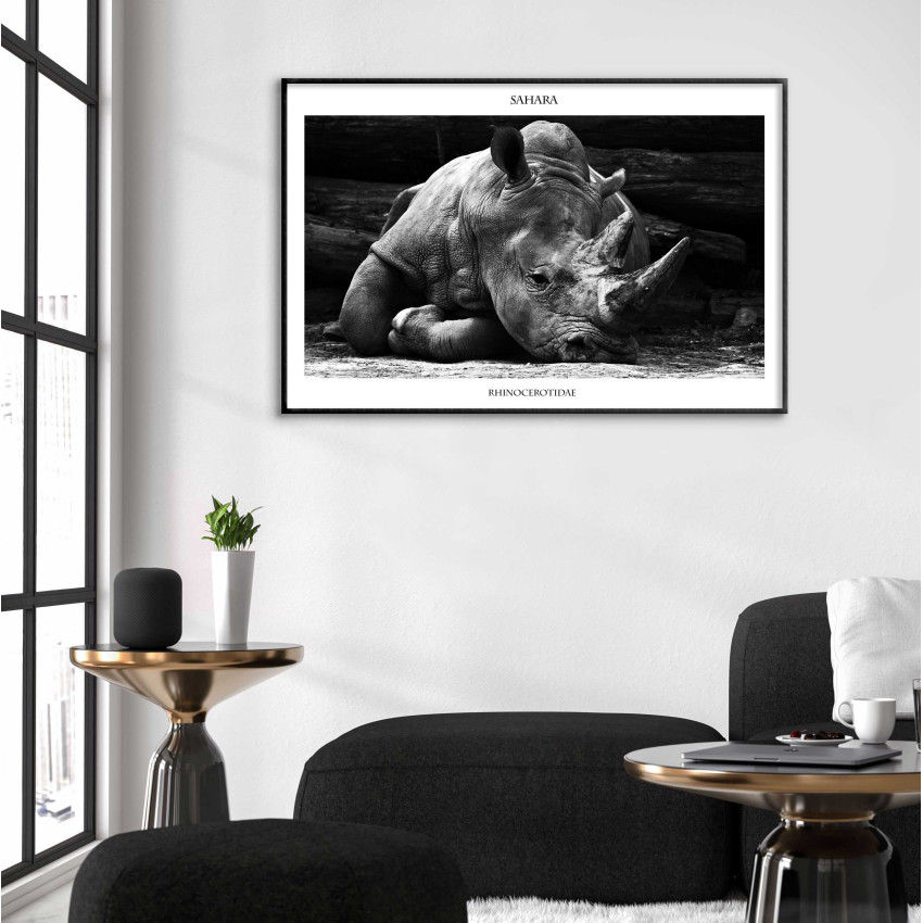 Rhino - Simple 50x70cm poster