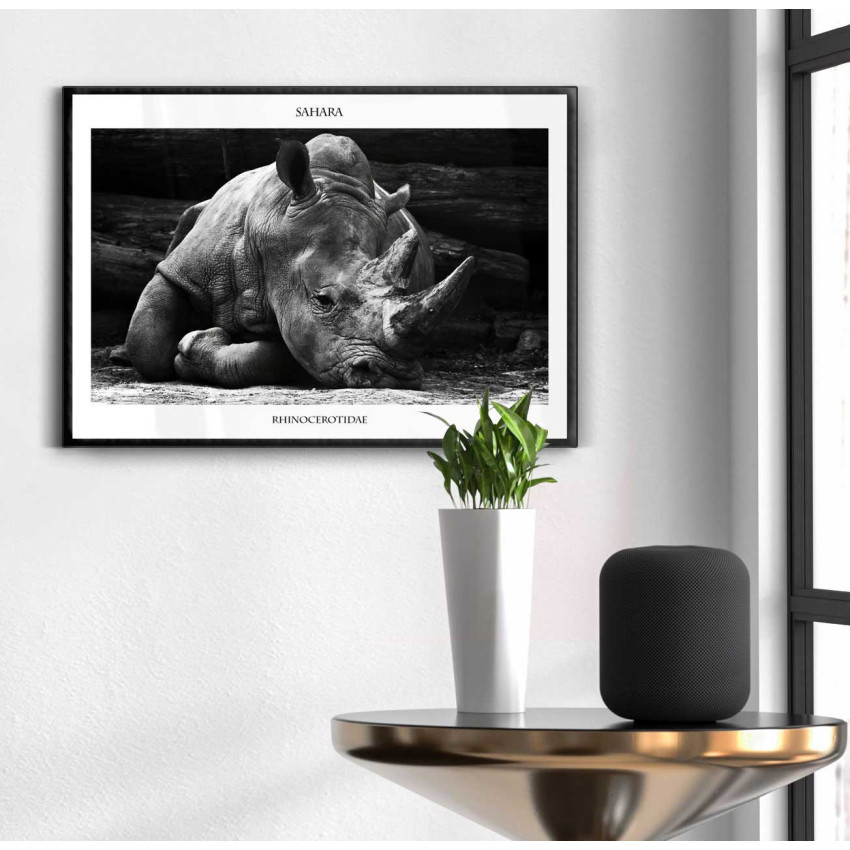 Rhino - Simple 50x70cm poster