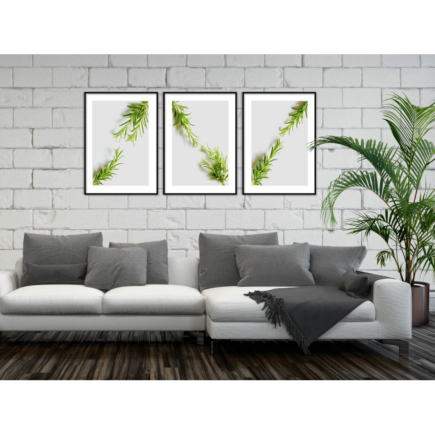 Simple Green Plants - Three Piece Poster