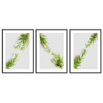 Simple Green Plants - Three Piece Poster