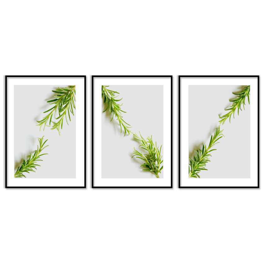 Simple Green Plants - Three Piece Poster