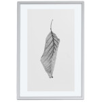 Löv - Svartvit Enkel Poster Tavla