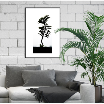 Simple Poster with a Palm Tree and White Background
