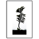 Simple Poster with a Palm Tree and White Background