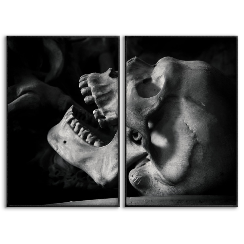 Skull Contrast Profile - Two Piece Poster