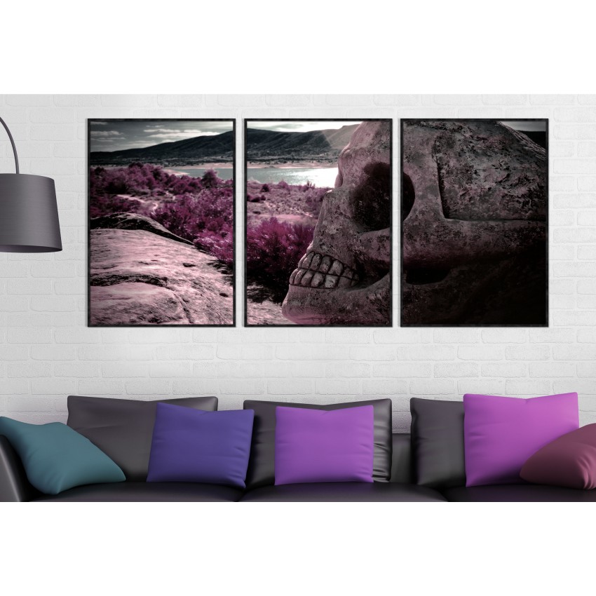 Skull in Pink Environment - Poster in Three Pieces