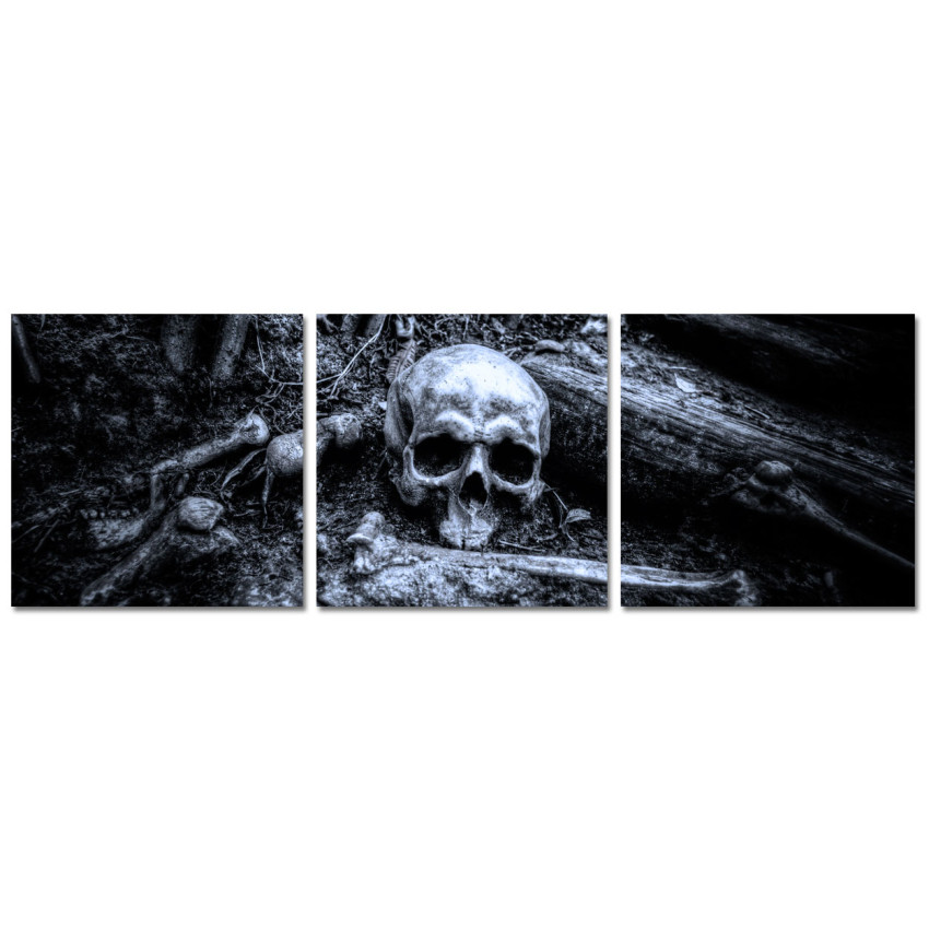 Skull in the Woods - Poster in Three Pieces