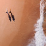 Surfare på en Beach - Tavla Surfare på en Beach - Tavla