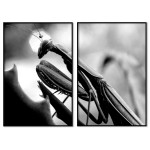 T-rex dinosaur - Portrait poster