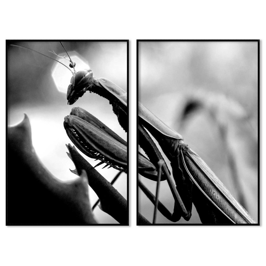 T-rex dinosaur - Portrait poster