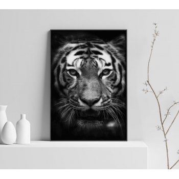 Tiger Porträtt - Svartvit Poster