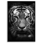 Tiger - Simple Poster